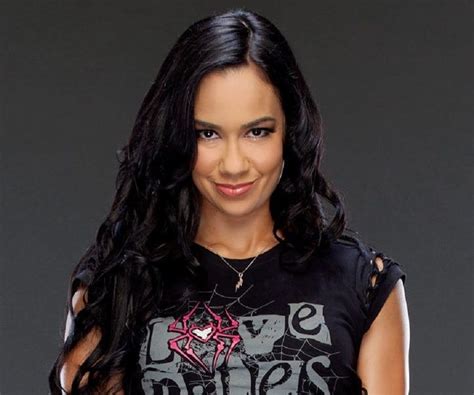 aj lee wikipedia|where is aj lee now.